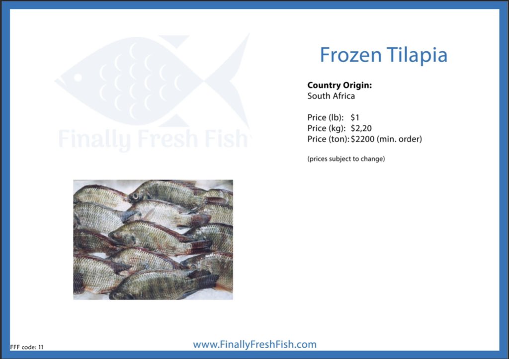 FinallyFish's tweet image. We have frozen #Tilapia!

 #FreshFish #WholesaleFish #FishExporter #Seafood #Fishing #SeaFoodLover #SeafoodBusiness #FreshSeafood #FishMarket #Fish