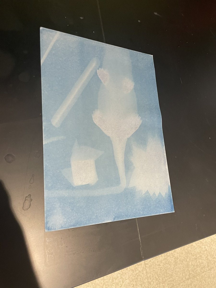 BCMSBoyd's tweet photo. Ms. Crouch’s photography class working on producing cyanotypes today because it’s…..#WildcatWednesday!! @BoydCoSuper @BCMS_Principal @BCPSdistrict https://t.co/iP8NtFjT2T