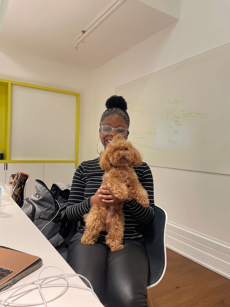 ThisIsYSYS's tweet photo. YSYS team meeting agenda 📝

Programme launch ✅
Gen Z roundtable  ✅
New community member welcome ✅
Puppy cuddles ✅ https://t.co/L6FMPatkPr