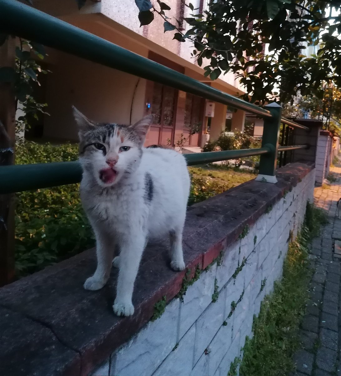 edanrT's tweet photo. @uniteroru AaaaAaa https://t.co/oGbc5MvqnV