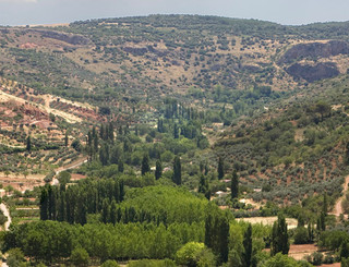 ecomuseosacam's tweet photo. Mañana presentación del aceite de la Sierra de Alcaraz a cargo de las almazaras de Alcaraz,  Povedilla, Villapalacios, Bienservida y Villaverde Del Guadalimar a las 11.30 en la Casa Perona de #Albacete  organizado por SACAM https://t.co/BGOmVdTlo9
