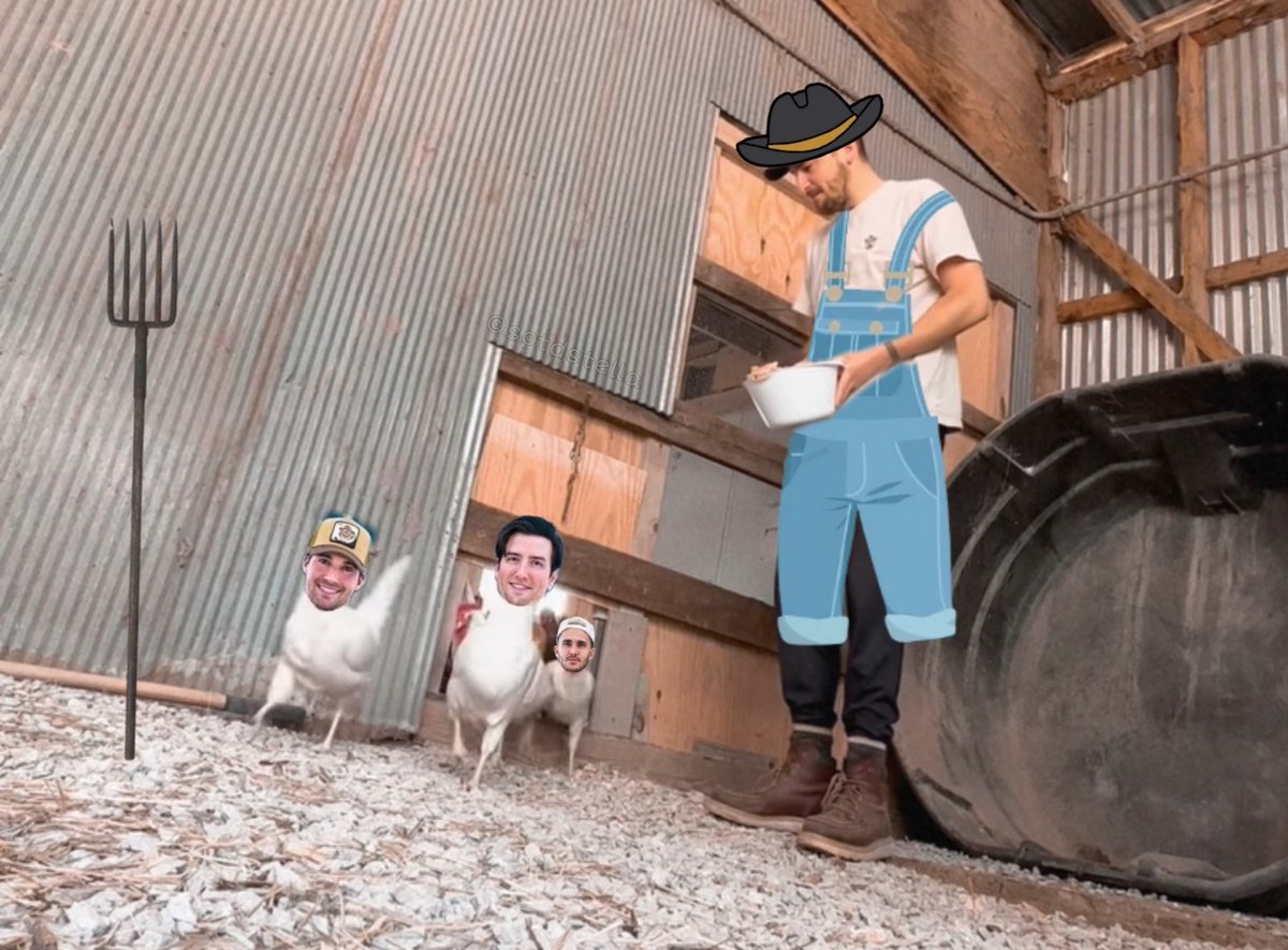 sotdstella's tweet photo. It's a feeding time! 🐔🐔🐔
@HeffronDrive 🧑‍🌾 https://t.co/7D9mYg1ZQH