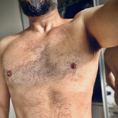 🐻_GO tweet media
