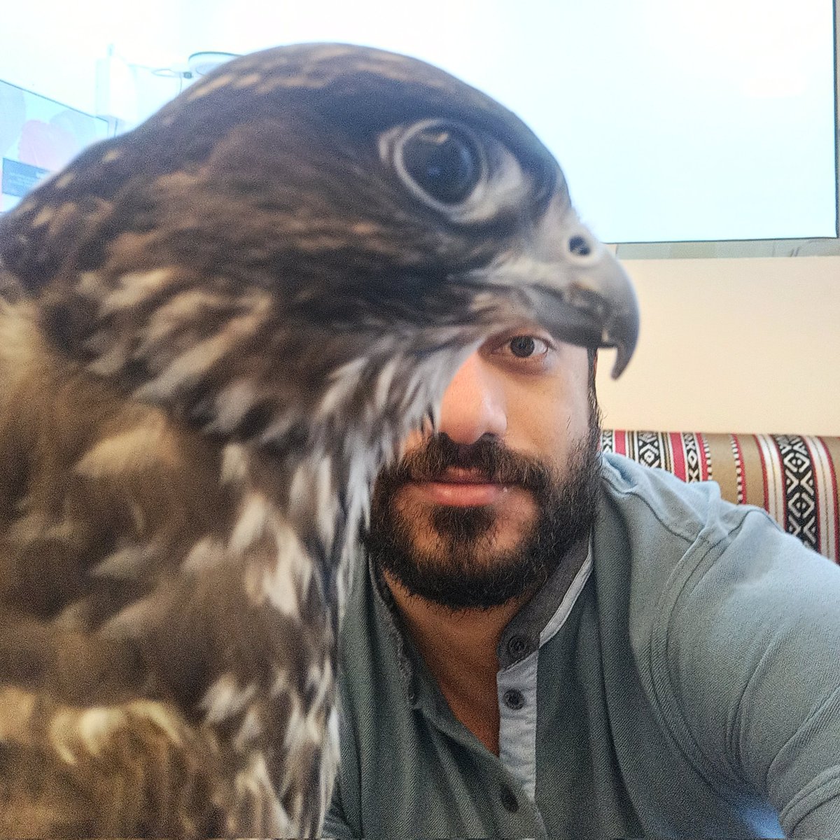 Shenovic's tweet photo. #NewProfilePic https://t.co/VTt9lx51h4