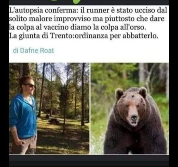 Sandro Bri♥️🇷🇺🇮🇹Z tweet media