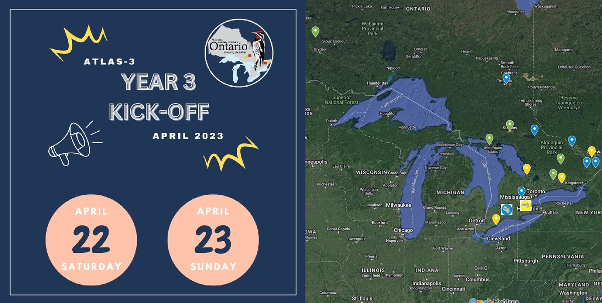 Last call for this weekend’s kick-off events! Join Atlas staff in London or Hamilton or fellow atlassers across Ontario to celebrate the start of year three! birdsontario.org/year-3-kickoff…