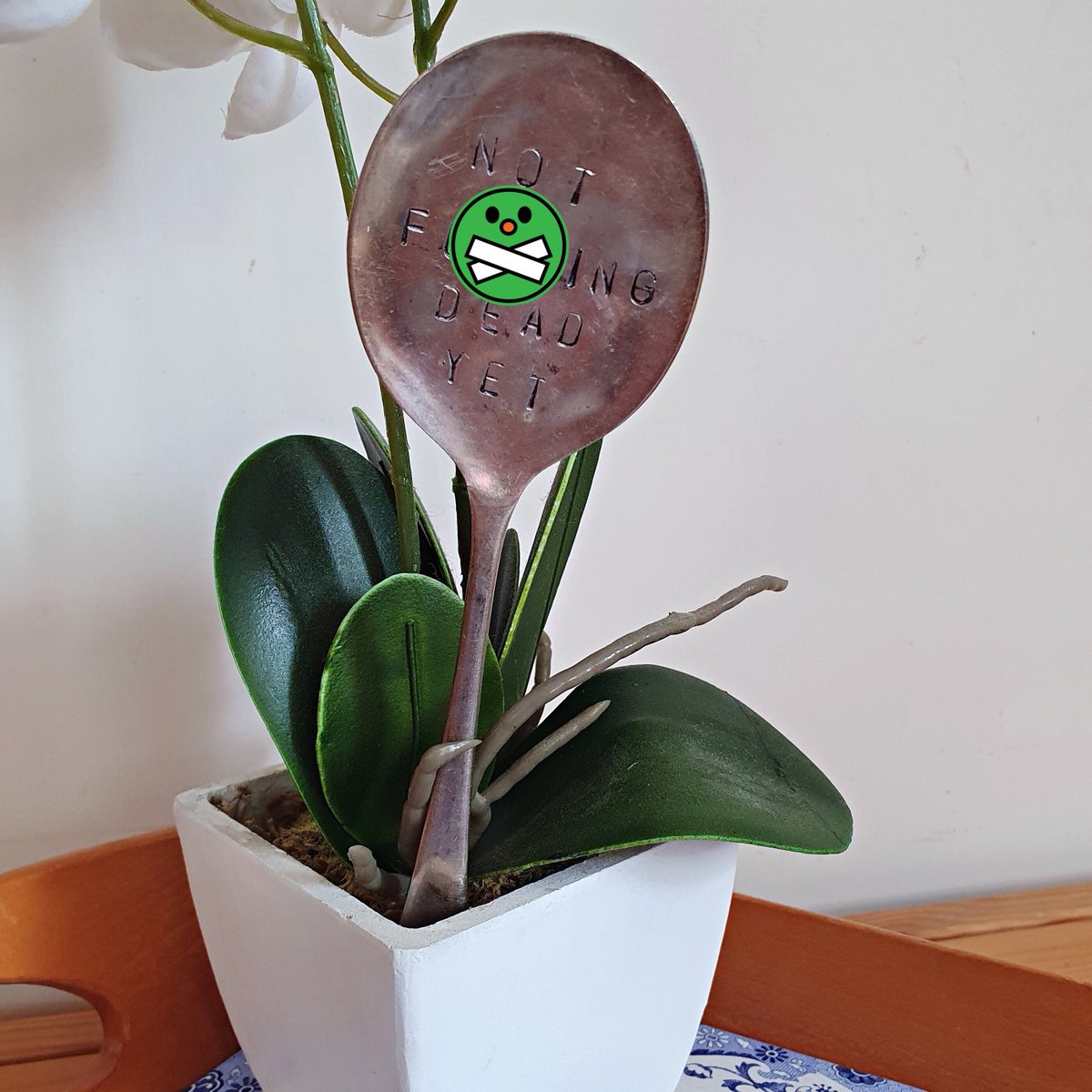 martisanne's tweet photo. Funny plant stake, rude gardening label, allotment marker, gardening accessory. Indoor Outdoor Green Fingered Couples Gift , humerous gift https://t.co/5lfp5EXN1o #Etsy #SMILEtt23 #Handmade #CouplesGiftIdea https://t.co/VUWyGkH3Jh
