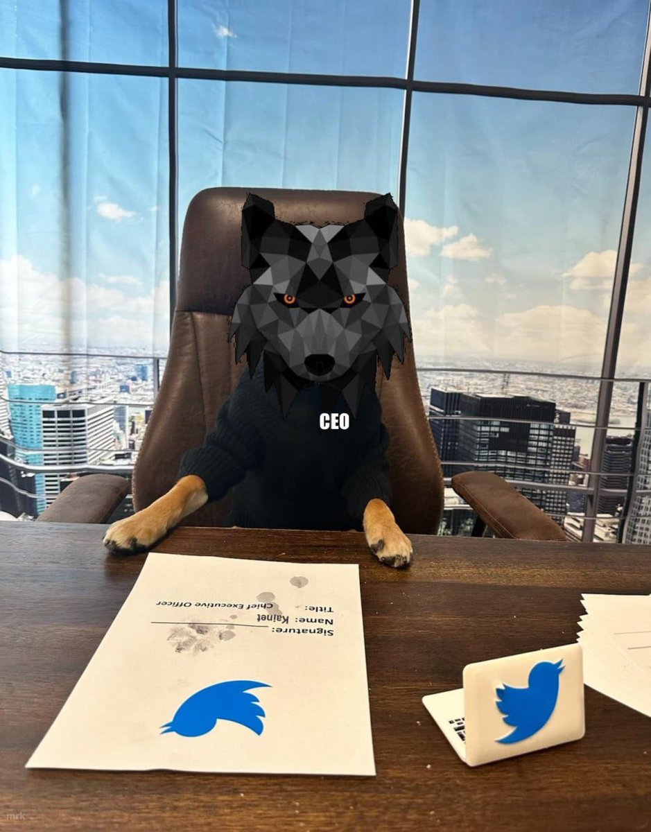 Cody tweet media