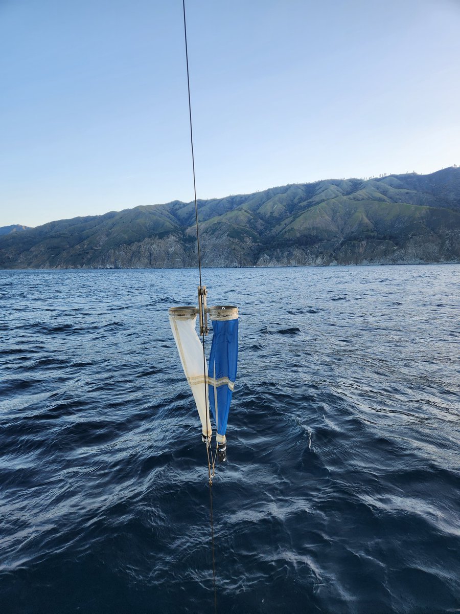 calcofi's tweet photo. What a beautiful morning, at station 70 51 south of #PointSur
Everyone enioys the land view
#Upwelling occurs here -> colder water than we're used to
We didn't have a #chlorophyll peak here making #plankton preservation quicker because it was less green
#CalCOFI #NOAA #SIO https://t.co/gNsUQ0yD3c