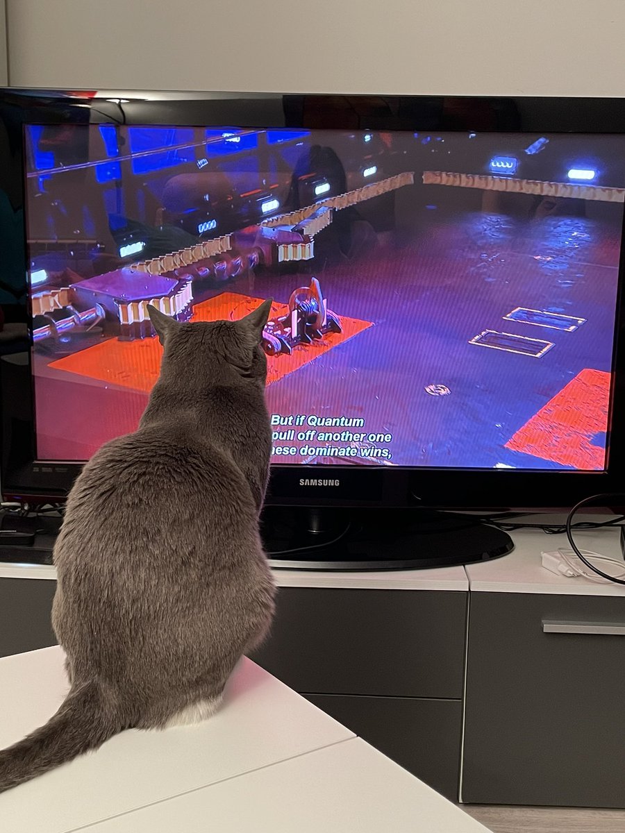 niara81's tweet photo. @LLVT and me are not the only @BattleBots fans at home. Lilith loves it too 😍. https://t.co/yR0uyaj8wC