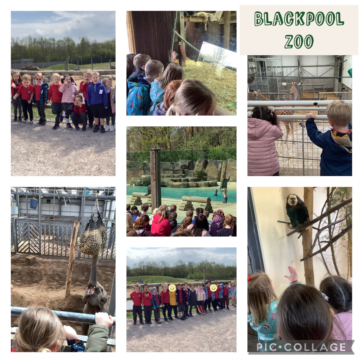 Miss Mpofu tweet media