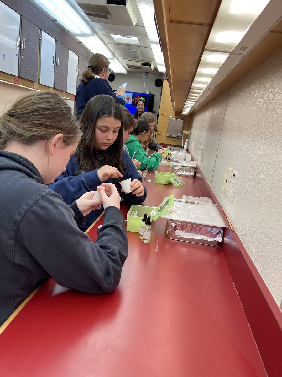 Doreen Silakowski tweet media