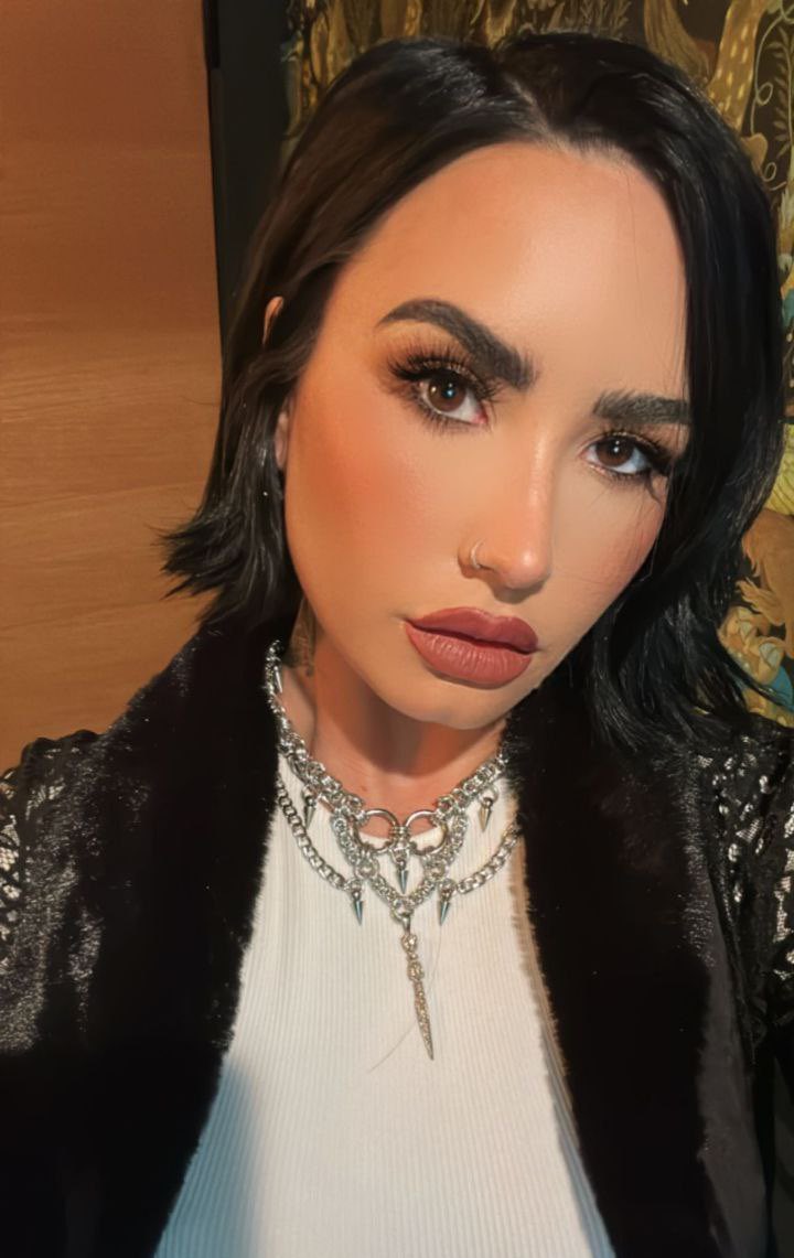 Demi Lovato looks gorgeous in new Instagram Story., image size:720x1141