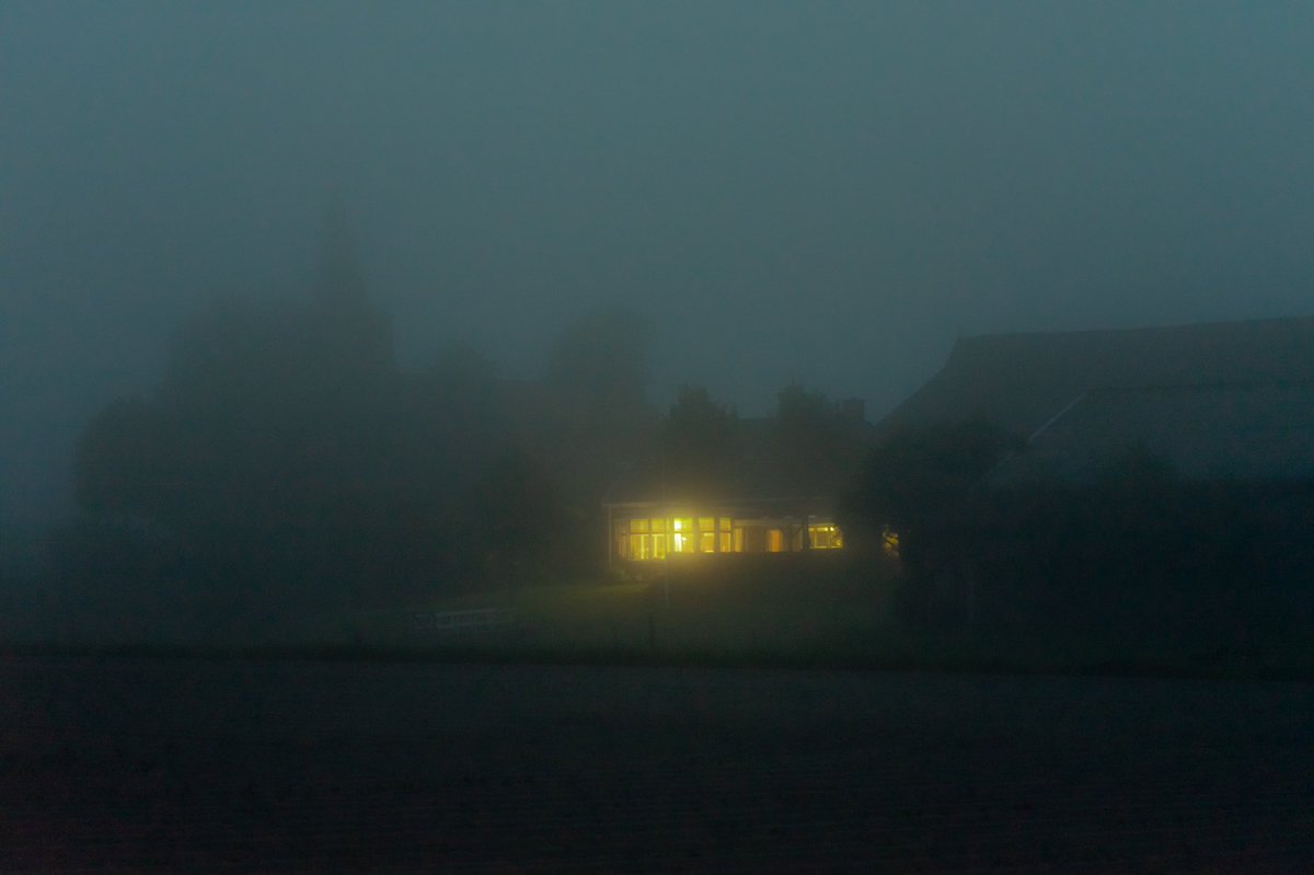 melopacare's tweet image. some of my favorite fog photos.