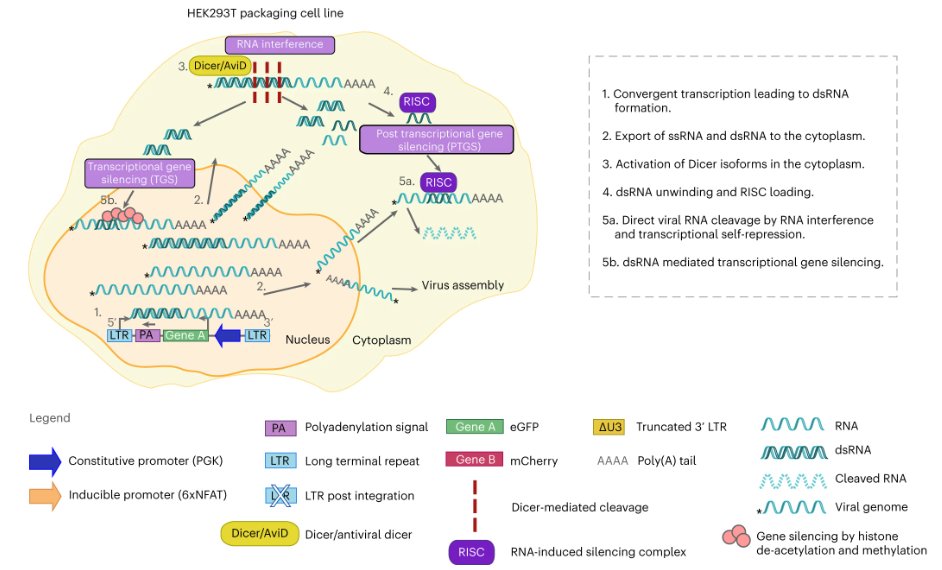 Human Immunology News tweet media