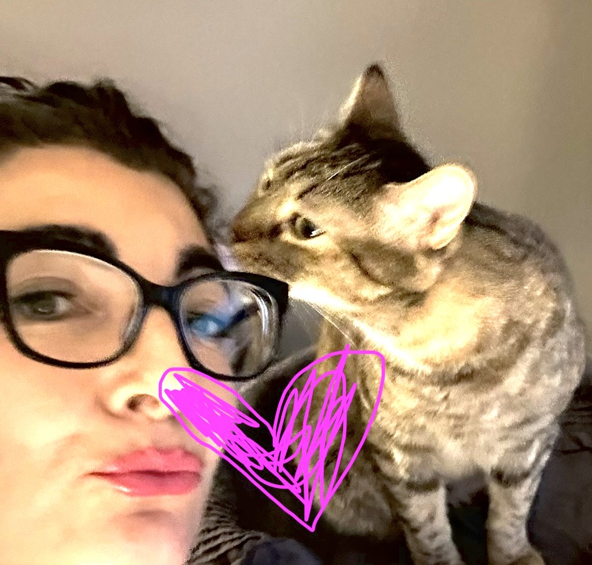 DivinaStavola's tweet photo. My neighbors call me a #CrazyCatLady but jokes on them cause I’m ALL IN! Yes they laugh when I walk #SimbaCile in her STROLLER but #RescueCatsRock ! To all you proud #AnimalLovers : #HappyNationalCatLadyDay #AdoptDontShop #RescueAnimals @rickygervais @JaneFallon https://t.co/hPV67hV1SL