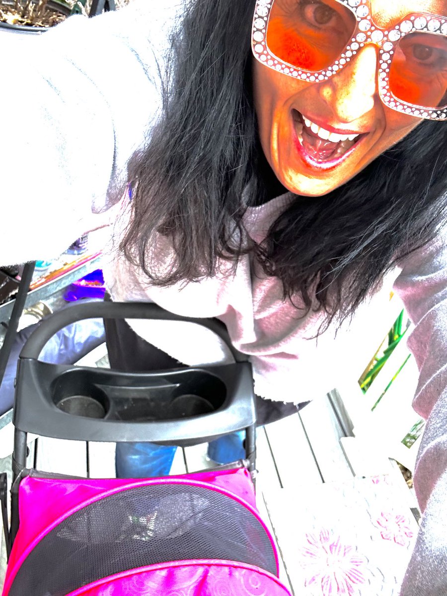 DivinaStavola's tweet photo. My neighbors call me a #CrazyCatLady but jokes on them cause I’m ALL IN! Yes they laugh when I walk #SimbaCile in her STROLLER but #RescueCatsRock ! To all you proud #AnimalLovers : #HappyNationalCatLadyDay #AdoptDontShop #RescueAnimals @rickygervais @JaneFallon https://t.co/hPV67hV1SL