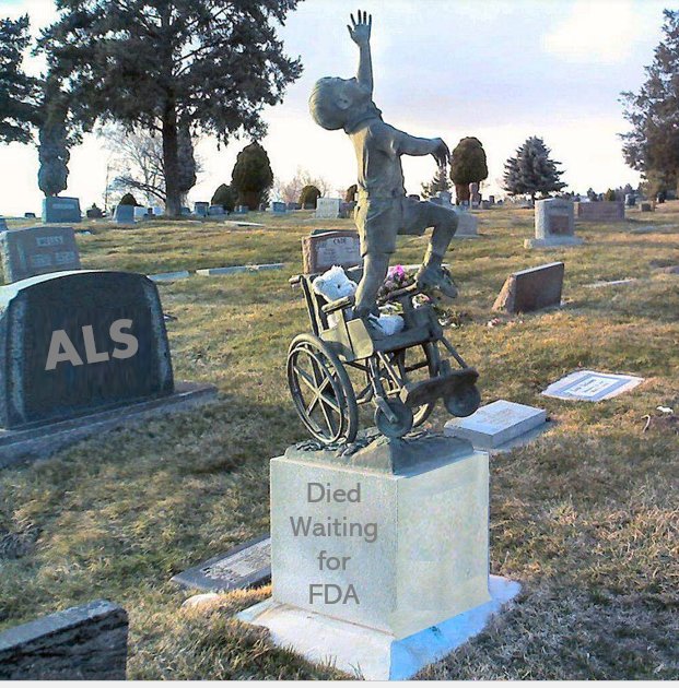 aVoice4ALS's tweet photo. In America, if you have a
100% fatal #RareDisease like #ALS
& a safe trial drug helps you STOP DYING,
you can #DieWaiting for @US_FDA approval.
@POTUS & #ALScaucus
We must overhaul regulatory laws
The #ALSclock waits for no one
#TypeIIErrorsKill just like unsafe drugs https://t.co/sOdsnPYO4s