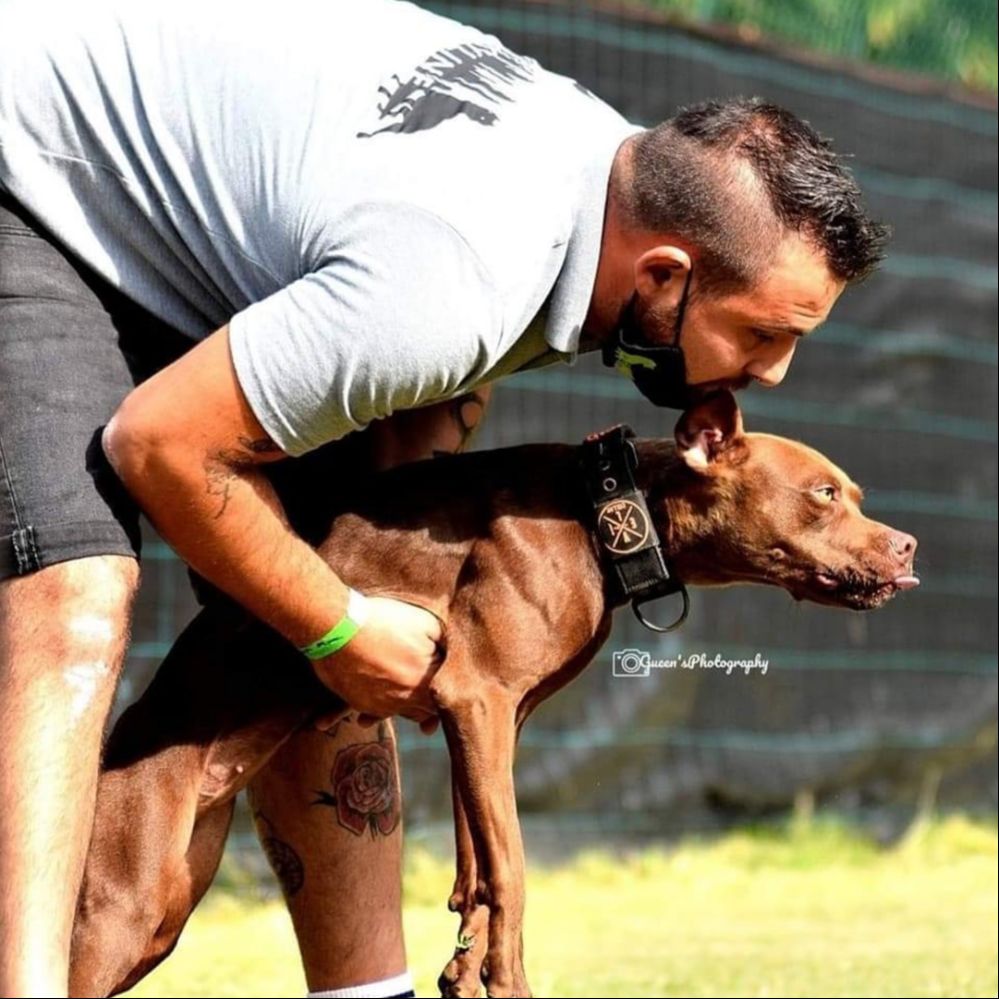 EvilCollar's tweet photo. Simo chiede a Mora come le piacerebbe il suo nuovo Collare Personalizzato @evilcollar https://t.co/miXlFi8hxR https://t.co/PzuoUG678T