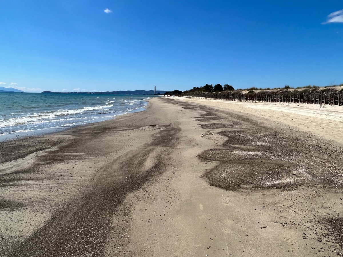 The @Regions4Climate project is getting into action! Today, we had a field visit to the Tuscan demonstration site, Parco Della Sterpaia, where #natureBasedSolutions will be tested to restore the dune system increasing the resilience against #coastalErosion