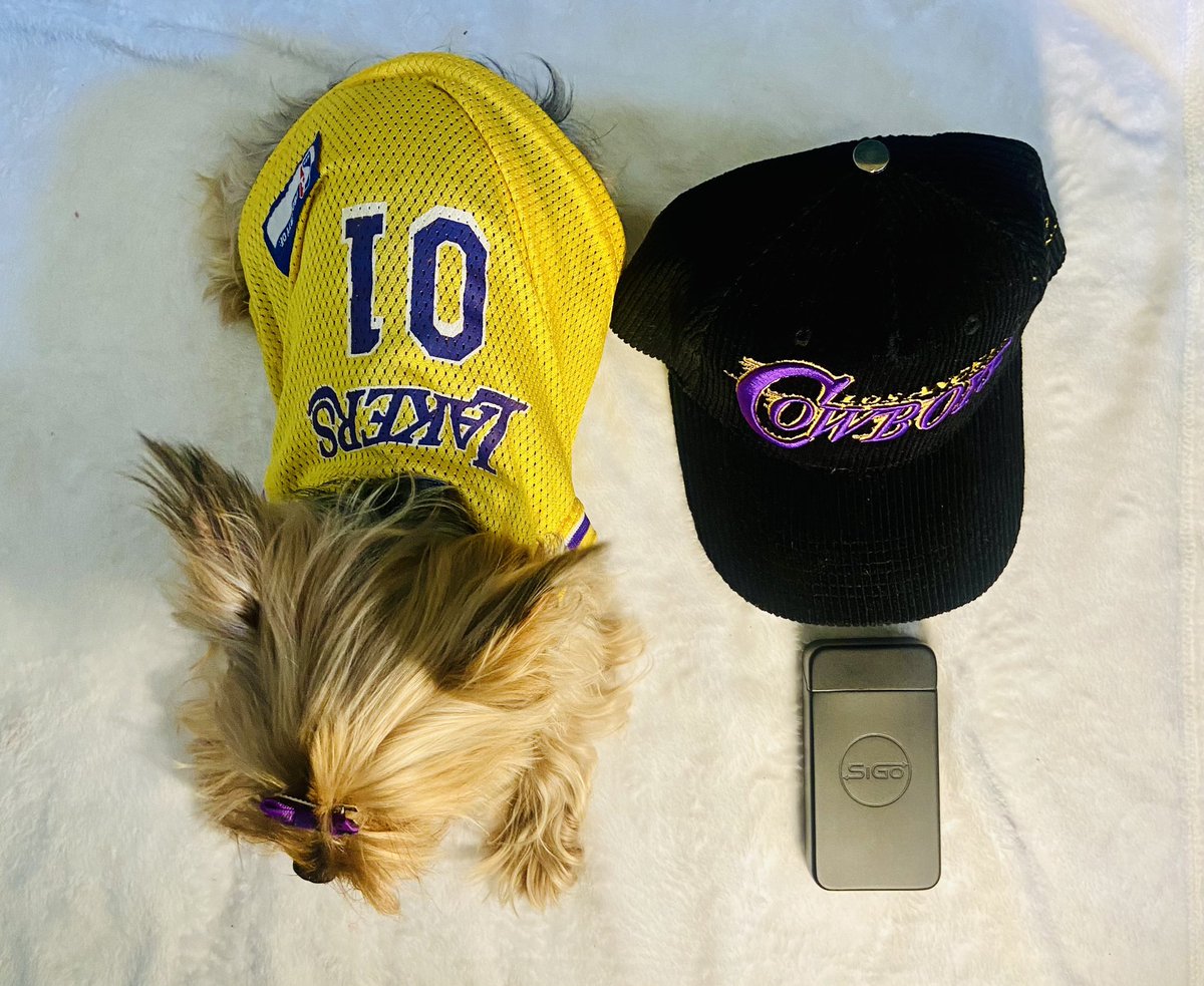 sigostashbox's tweet photo. The 3 most important things to me:
My brand 🍃
My dog 🐶
My plants 🪴
https://t.co/QuhhHnnhdL
#stoner #puppy #DogLover #plantlife #grower #nursery #plantparent #cutedog #happydog #weed #marijuana #lakers #LA #playoffs #varigation #roots #sale #rollup #smoke #SnowfallFX https://t.co/992kaRsYqp