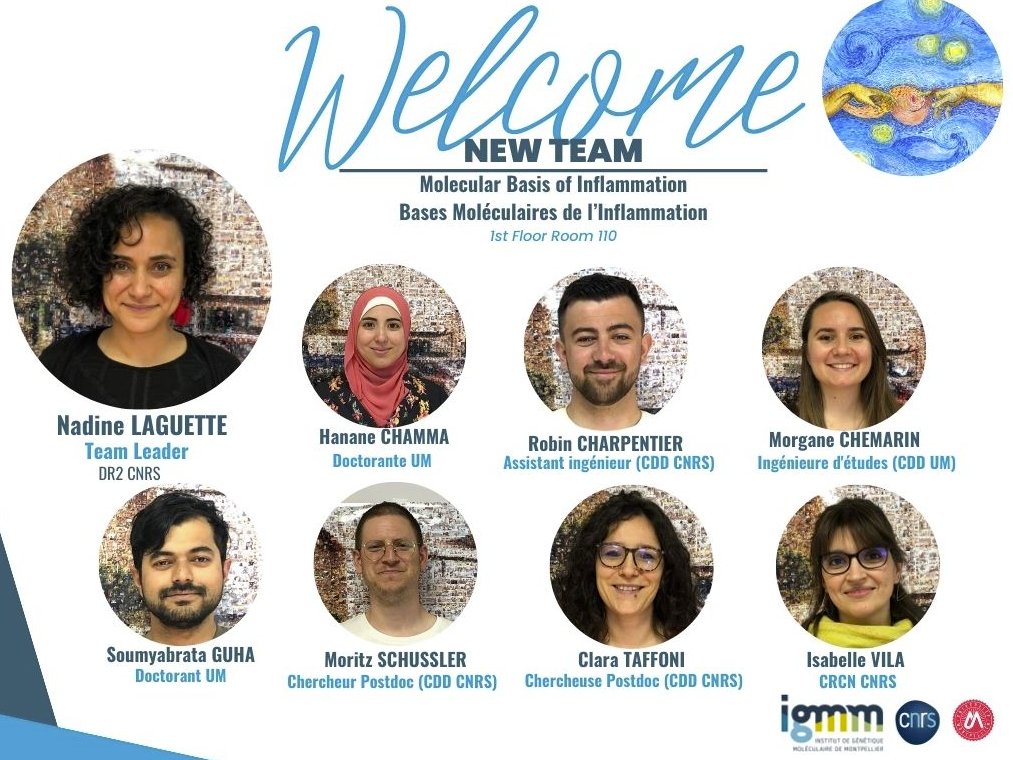 We all landed safely in our new "home". Thanks @IGMM_Montpel for the warm welcome!