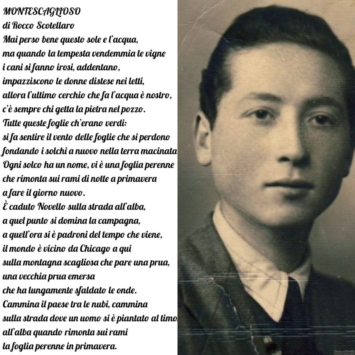 8miste's tweet photo. La poesia venne data da Rocco Scotellaro a VINCENZA CASTRIA che scrive: Nel 1950 a Matera partecipai ad un convegno,mi vidi avvicinare da questo giovane che timidamente mi disse:tenga signora,in ricordo per Giuseppe Novello!In"Vincenza Castria la rivelazione della politica"pg 104 https://t.co/0lpA1miAVW