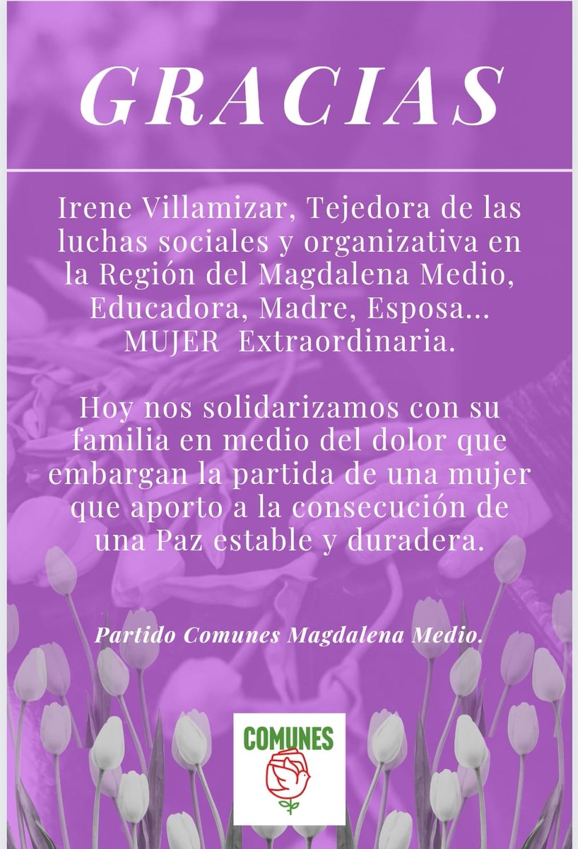 comun_paz's tweet photo. El partido político 🌹Comunes Magdalena Medio lamenta el fallecimiento de Irene Villamizar y 🫂se solidariza con su familia en este difícil momento.❤️ https://t.co/9O1qSzdAF3