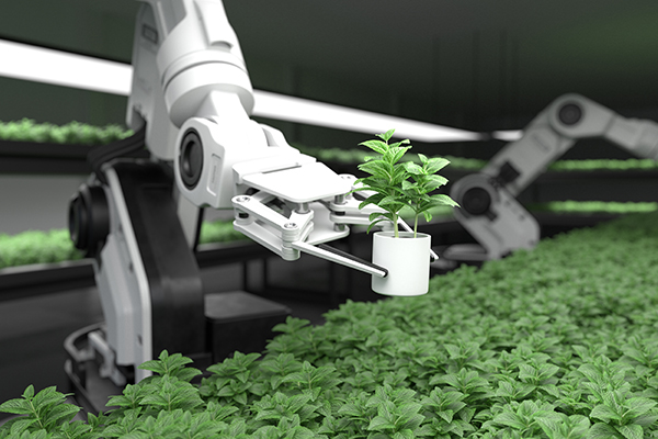 SFU's tweet photo. Big agritech news! The SFU-led B.C. Centre for Agritech Innovation is partnering with @WUR in the Netherlands to advance knowledge and tackle global food security and sustainability issues together. Read more: https://t.co/xY0N6treSF @BrendaBaileyBC @SFUResearch @LSchreinemacher https://t.co/64iJXLnwTX