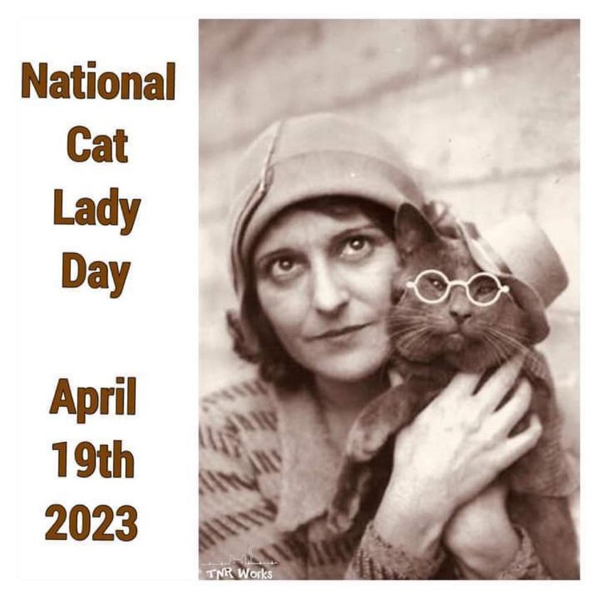 Happy National Cat Lady day to ALL the 'cat ladies' out there, of any and all genders!
#NationalCatLadyDay #CatLadyDay