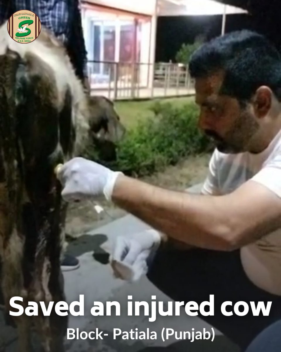 It is truly admirable that the #DeraSachaSauda volunteers have an unwavering commitment to rescue animals in distress &amp; help every being. Their actions are motivated by the teachings of their spiritual master Saint Dr. @GurmeetRamRahim Singh Ji Insan. #AnimalWelfare #Kindness