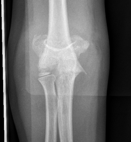 Dr. Edward Oates tweet media