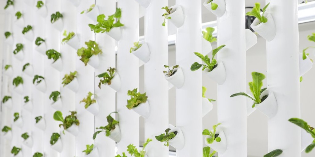 This project, led by @ponixfarms, will incentivize producers to adopt #climatesmart practices related to indoor hydroponic vertical farming, optimizing environmental conditions to reduce greenhouse gases. bit.ly/3r9zrvf