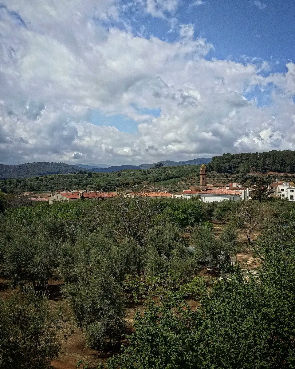 mtllaurado's tweet photo. Fresca despres Dels 21 litres caiguts!Continuem amb les faves, aixo es un no parar!! Pero per qui no Li agraden hem fet patates #pataques a la casola amb sipia, tortell amb bledes i demà Dijous ja, setmana de Sant Jordi, avança l'Abril! #sensepagesianohicuina #detemporadamillor https://t.co/9etSSvV93Z