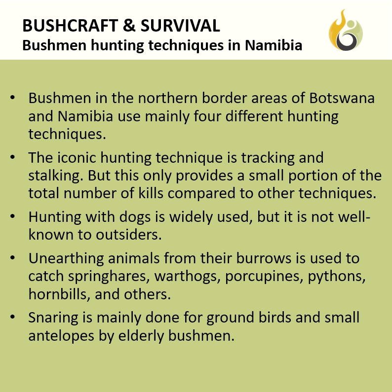 Bushguide101 tweet media