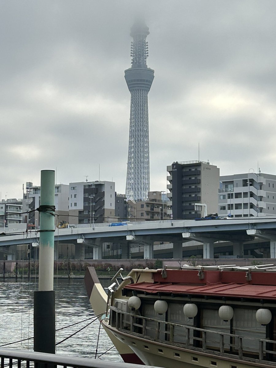 おはようございます🌞
このままだとはなちゃんに追いついてしまうので散歩再開

隅田川近辺をウロウロしてます😂