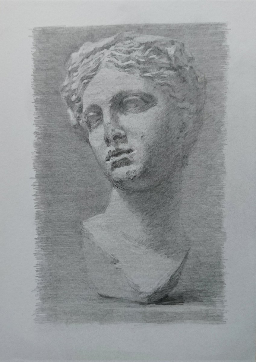 2020 A4白象紙に鉛筆【Bust of Thalia(タリアの胸像)の素描】
●プロセス 其の2∶中盤
1時間、2時間、2時間45分、3時間30分
大きな明暗・面を捉え擦筆で陰影の調子を擦り込む。一番明るい所と一番暗い所、明暗の対比の一番強い所を確認し、対象のその序列関係を写していくと同時に形を修整していく。