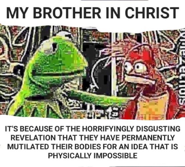 Frogezilla's tweet photo. @arschessen @transfem_2D @3liSalari @SigmaActivity https://t.co/Yu8UeTbLbj