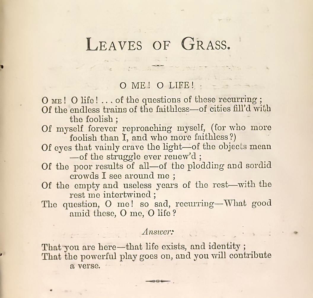 iamlavenderr's tweet photo. ~ Walt Whitman, “O Me! O Life!”, from Leaves of Grass (1855) https://t.co/1oe9Vzz5br