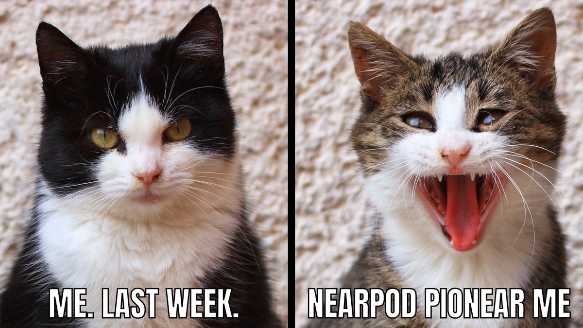 ladybugxie's tweet photo. How excited am I to be an @Nearpod PioNear? This excited! #NearpodWednesday https://t.co/G3mVqKYo9L