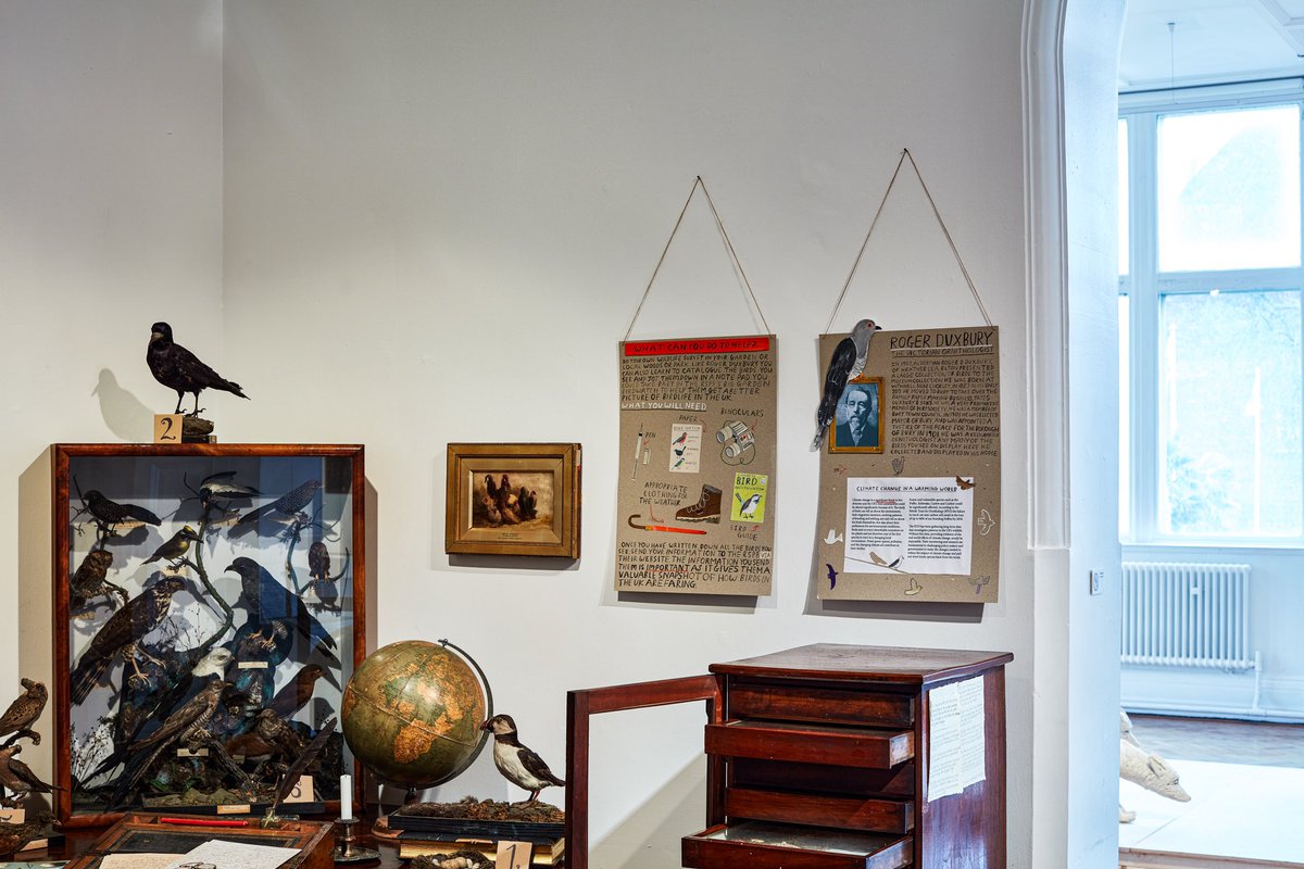 maisysummer_'s tweet photo. Exhibition signage pics from @BuryArtMuseum new exhibition ‘For Man is Coming Here’, collab with @mrmideasstudio 🎄🌴🌳

📸 Photographs by Paul Moffat Photography https://t.co/Ai36FpxILi