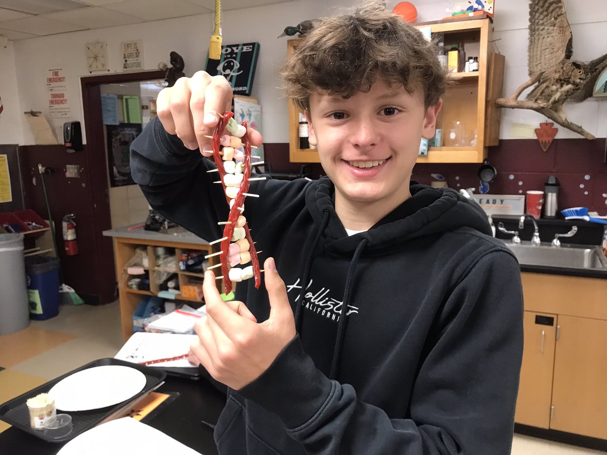 poetzelsci's tweet photo. Making DNA a creative way. #DNA #Science #fallspride https://t.co/xs6UC0pydQ