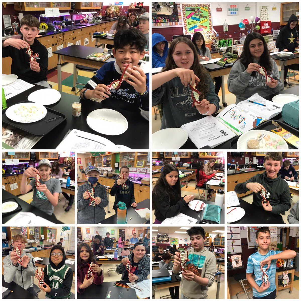 poetzelsci's tweet photo. Making DNA a creative way. #DNA #Science #fallspride https://t.co/xs6UC0pydQ