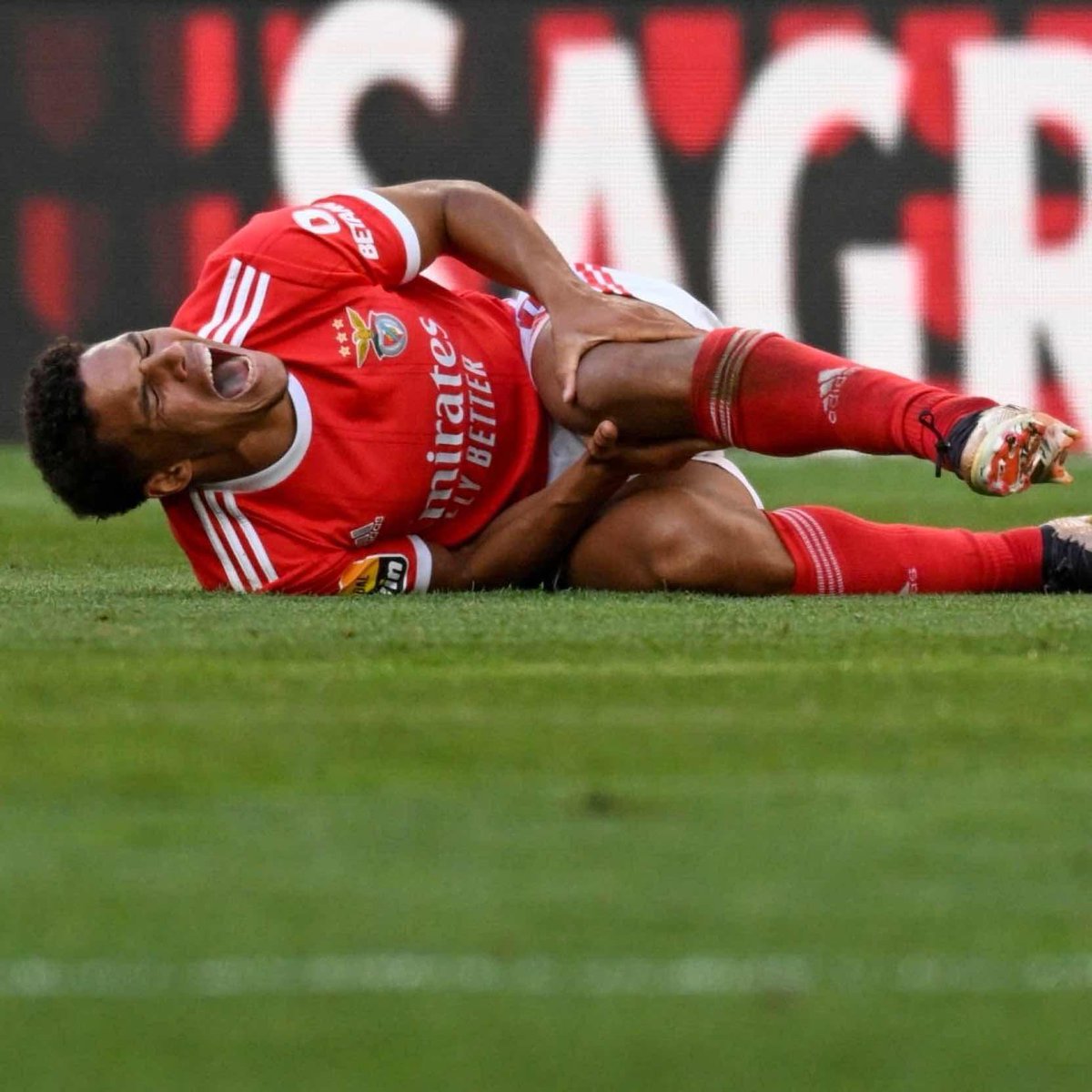Fds, Uribe