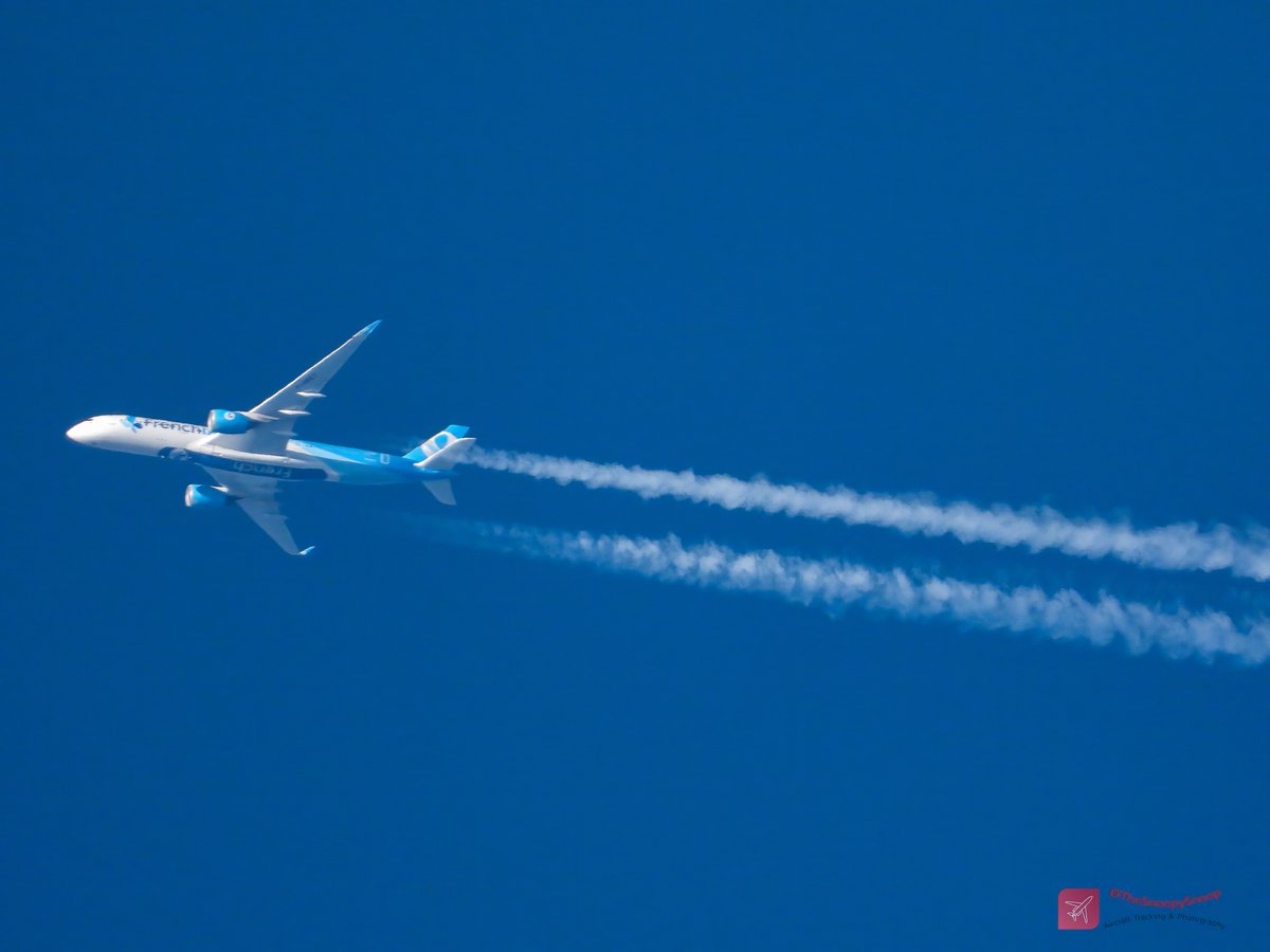 TheSnoopySnoop's tweet photo. Loving the clear sunset high fliers this evening
#BF710 ๐ซ๐ท French bee
Airbus A350-941, F-HREY
624mph, 36000ft (6.8 miles), ORY/SFO
#AvGeek #Planespotting #aviation #aviationphotography #Nikon #nikonphotography https://t.co/dAzijG2WVD