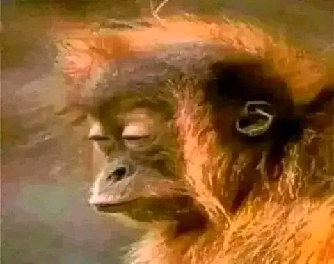 MeanyMgenge's tweet photo. @lemo_modiselle Let's wait for the reunion, abeg. https://t.co/vt9TlRUpaY