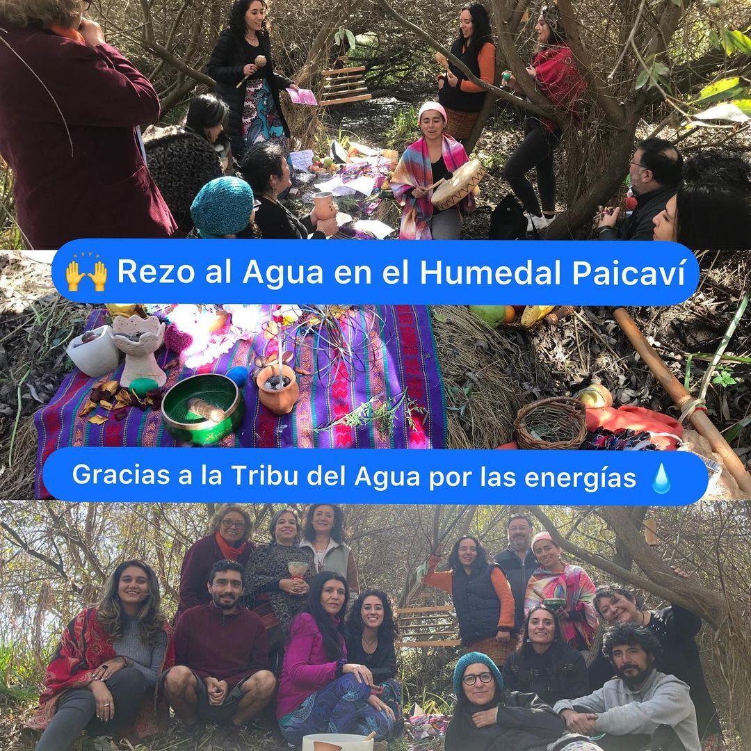 humedalpaicavi's tweet photo. 🙌 Agradecemos a la @tribudelagua por invitarnos a realizar el Rezo al Agua en el Humedal Paicaví el pasado domingo, una oportunidad maravillosa para conectarnos con las energías del humedal 💙 

🌱

#concepcion
#humedalpaicaví
#humedalpaicavi
#concegram
#biobio
#rezoalagua https://t.co/R8bekqK5wM
