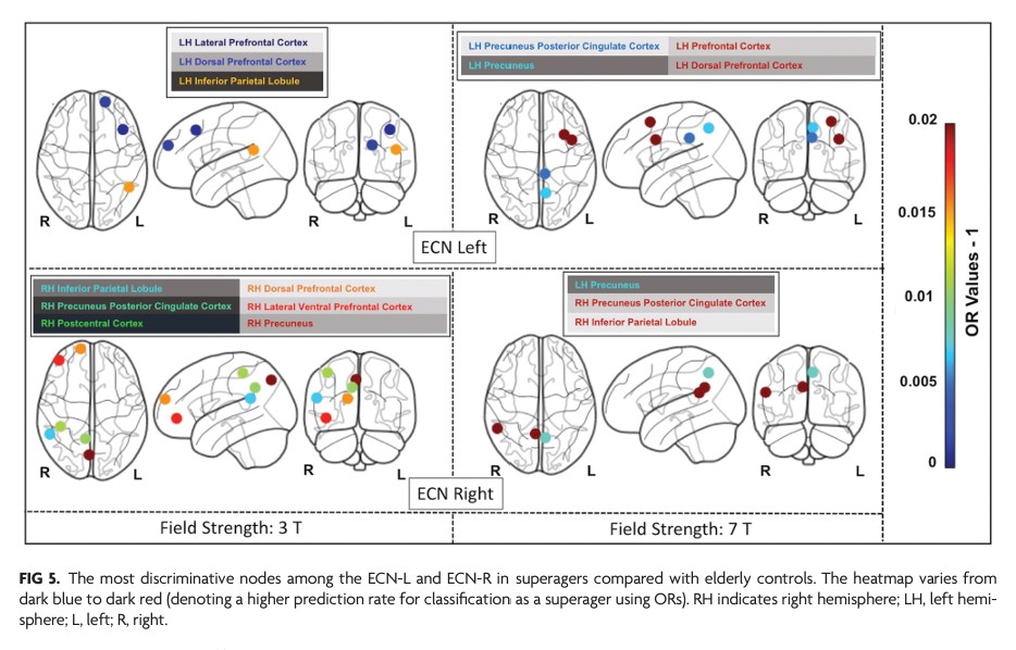 TheAJNR's tweet image. &quot;Phenotyping Superagers Using Resting-State fMRI&quot; #RestingState #fMRI #EditorsChoice @SBisdas @theASFNR |  bit.ly/3owJrR2