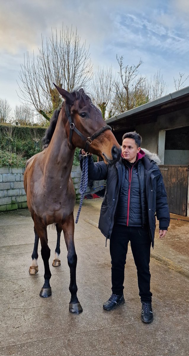 racingblogger's tweet image. Boys and Girls, the giant Rafa has officially been named: 

The Clonmel Kid 😍 🫶  

Exciting times are incoming soon!!