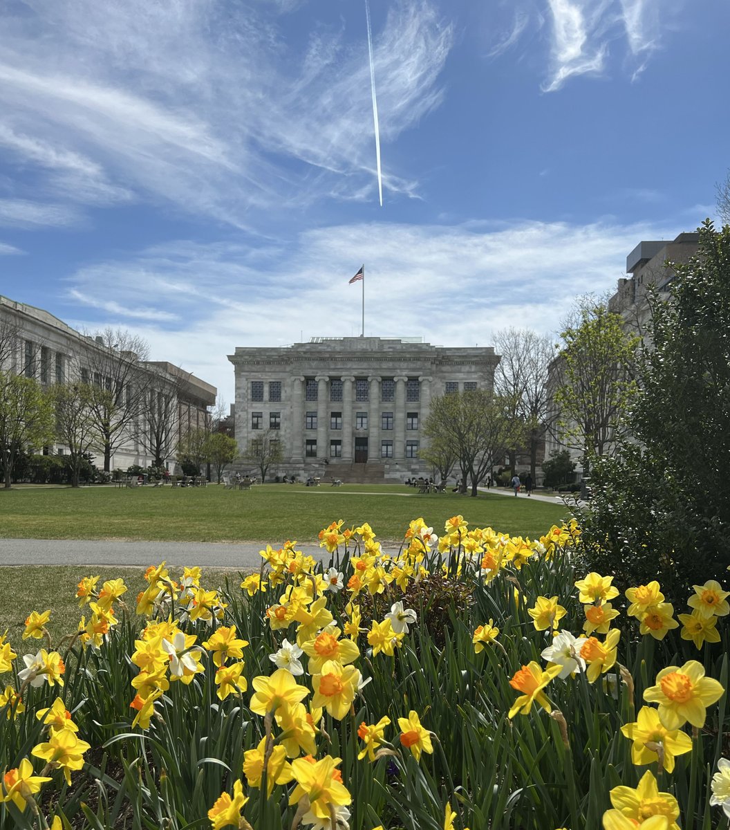 Harvard's tweet photo. The Quad at @harvardmed is in full bloom ๐ผ #HarvardInSpring https://t.co/CGmDRqRU9U